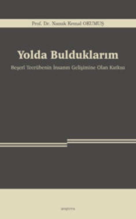 Yolda Bulduklarım -Beşerî Tecrübenin İnsanın Gelişimine Olan Katkısı- -287